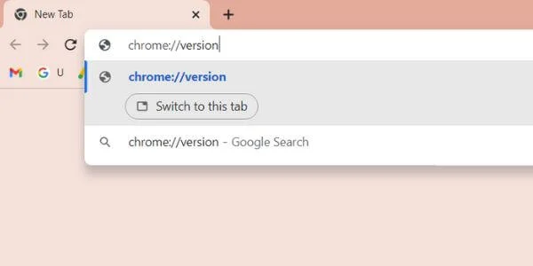 Changing browsing history folder to Fix Google Chrome White Screen-1