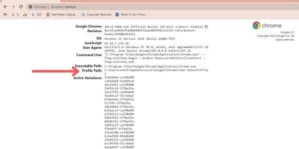 Changing browsing history folder to Fix Google Chrome White Screen-2