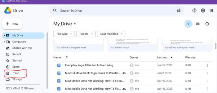Google drive-Trash