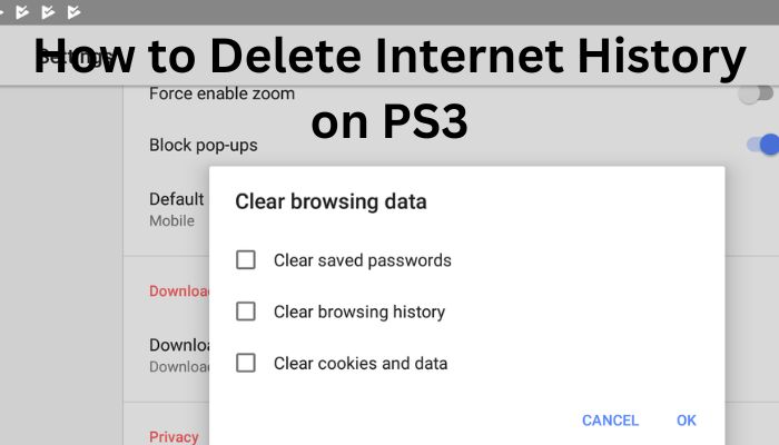 How to delete Internet History on PS3