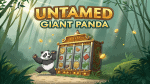 Untamed Giant Panda